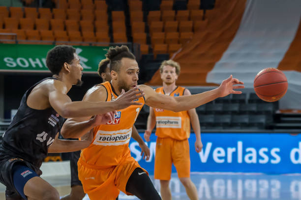 长在目前的 长在目前的